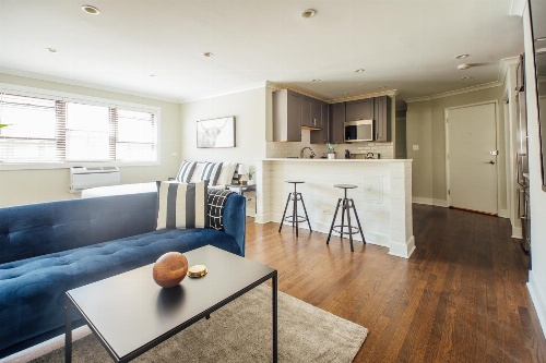 Cozy and Pristine Studio Apt in Lakeview A2
